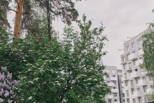 Ход строительства Вышка