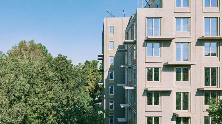 Мы почти никогда не смотрим на деревья снизу