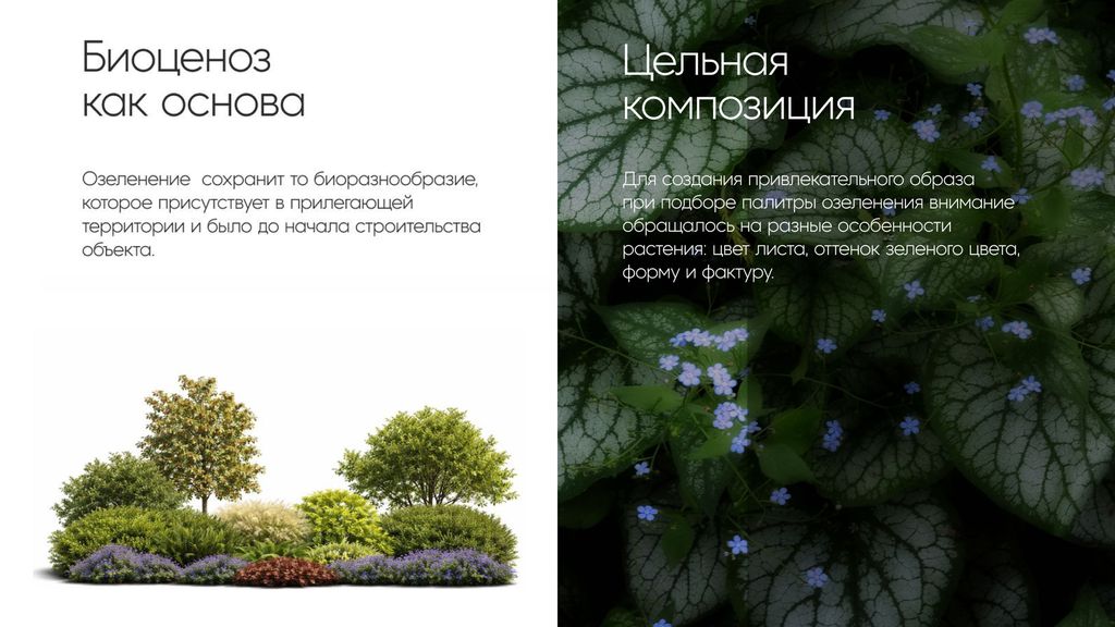 Среда, которой нет аналогов