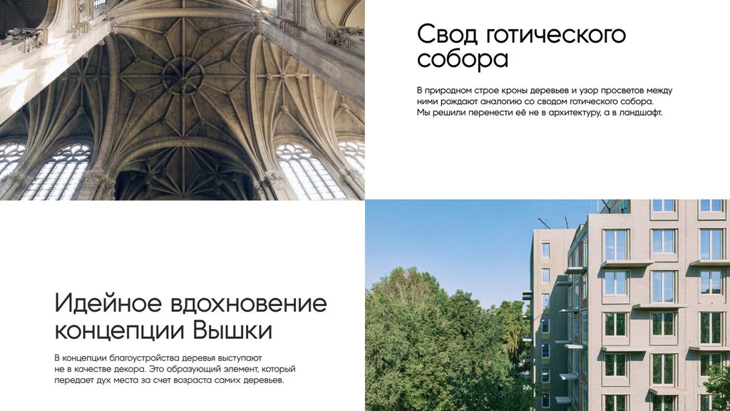 Мы почти никогда не смотрим на деревья снизу