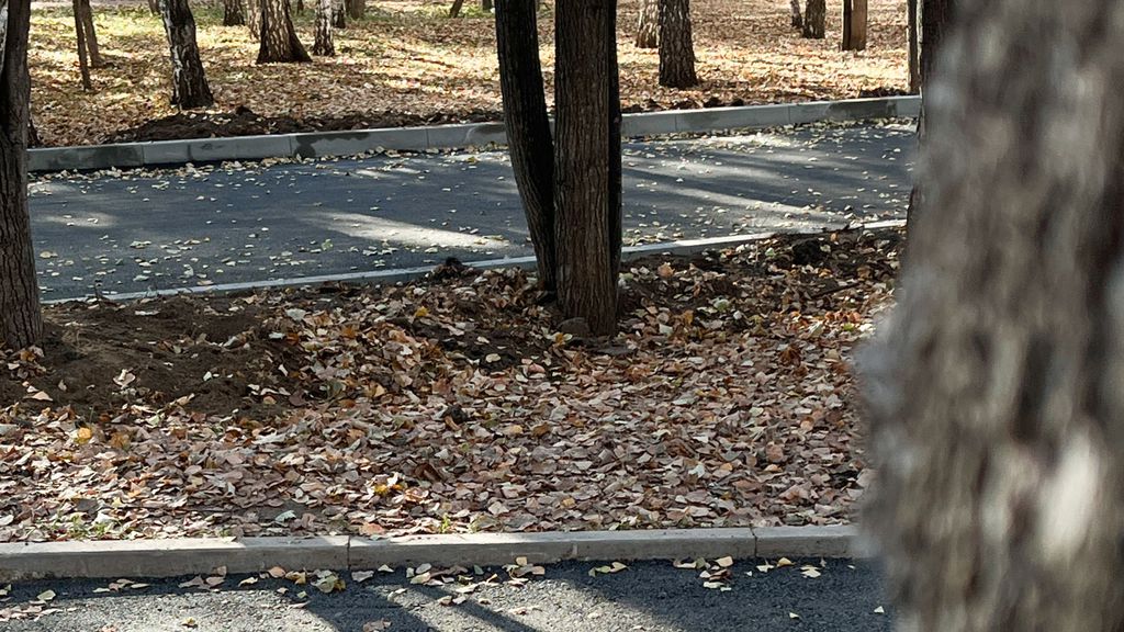 Новый асфальт впервые за 20 лет