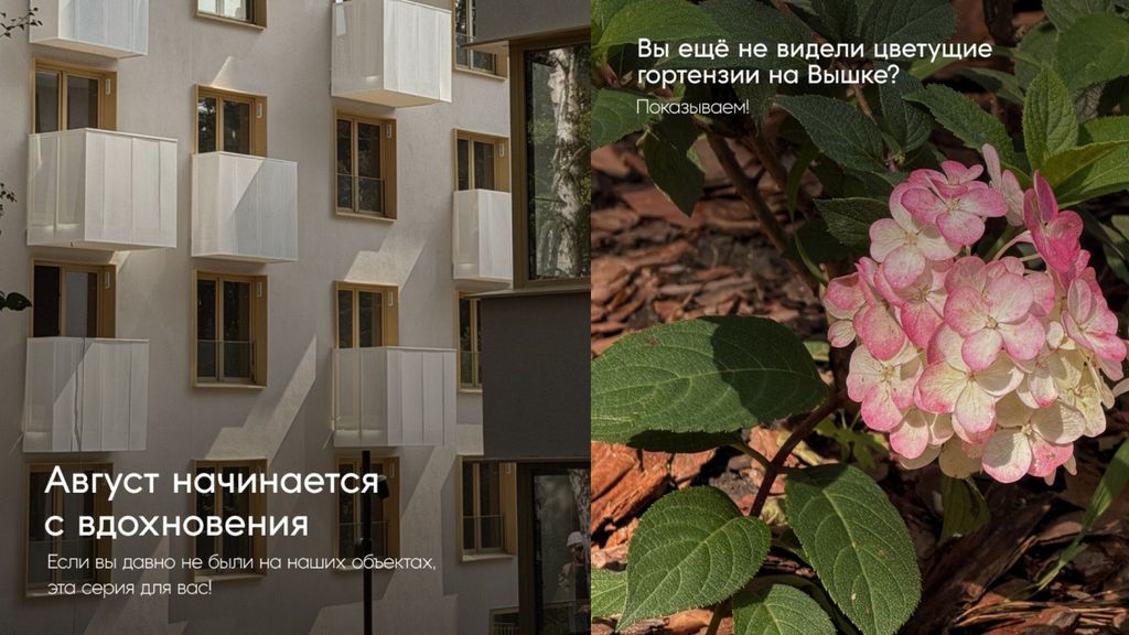 Дайджест снимков недели