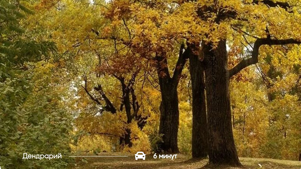 Как Гора превращает будни в гармонию с отдыхом