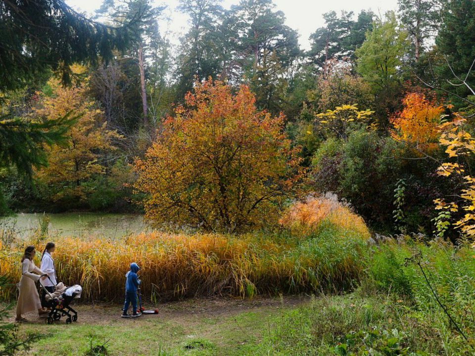 Природа вокруг