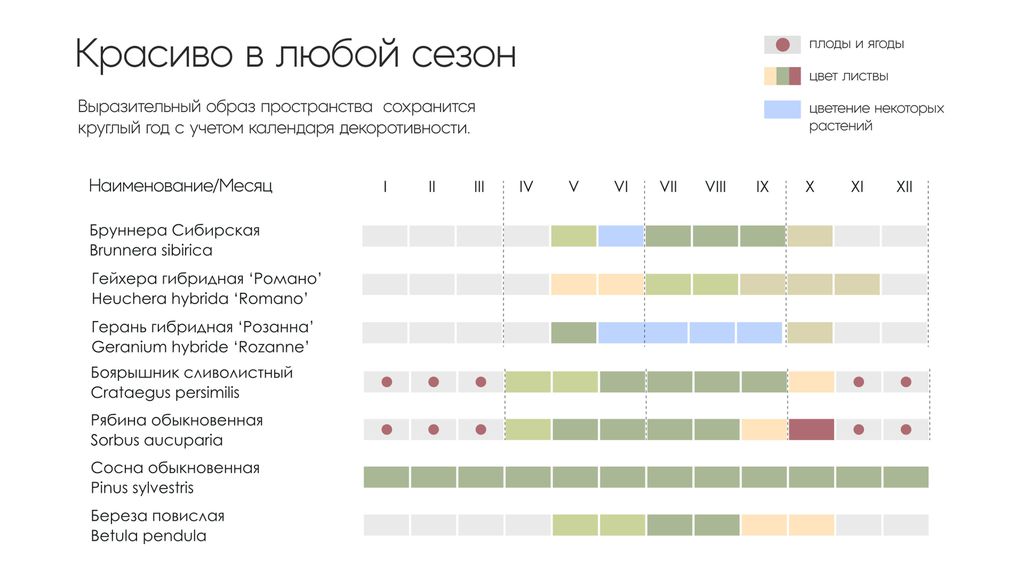 Среда, которой нет аналогов