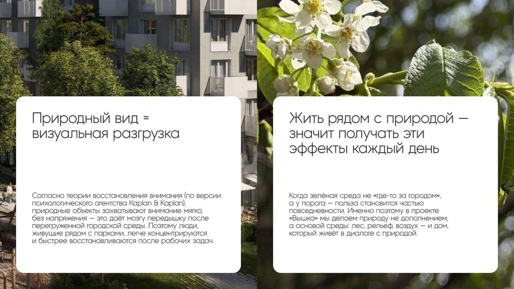 Май вдохновляет на рассуждения о природе