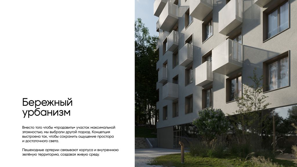 Мы почти никогда не смотрим на деревья снизу